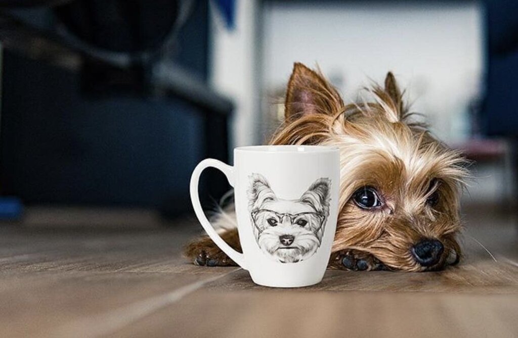 Abbott Yorkie Mug