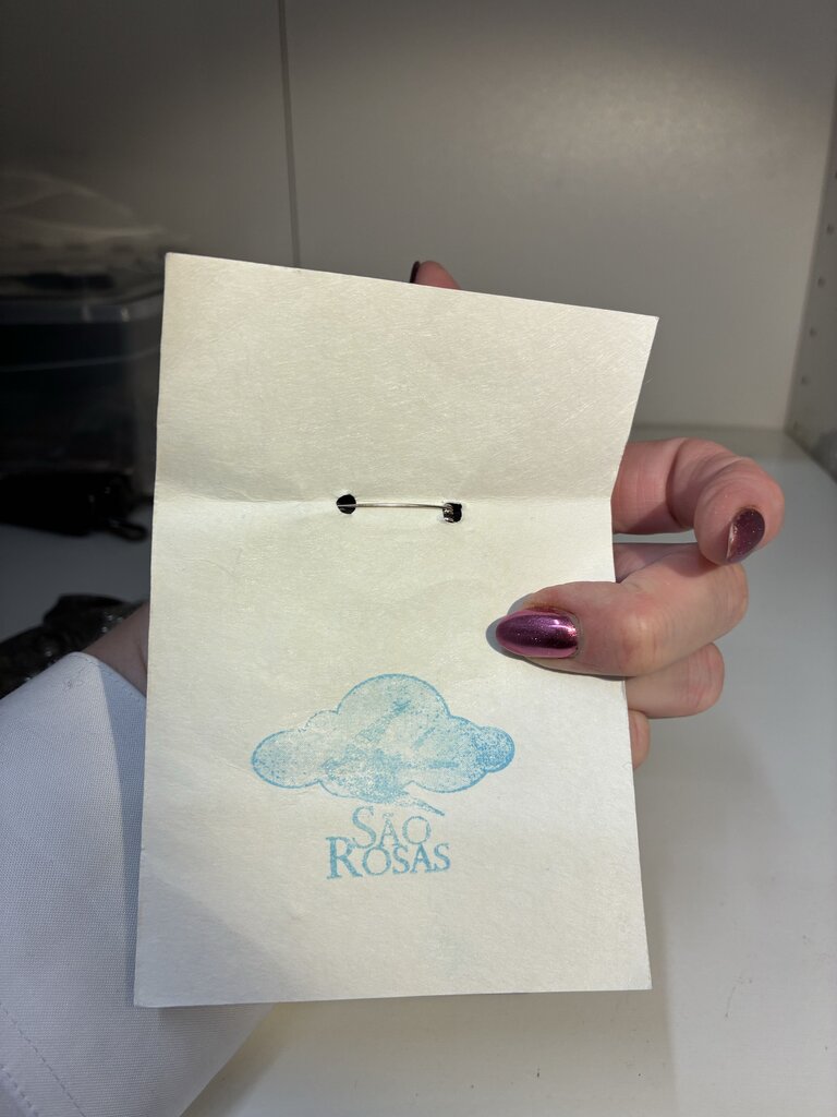 Sao Rosas Kitty Pin