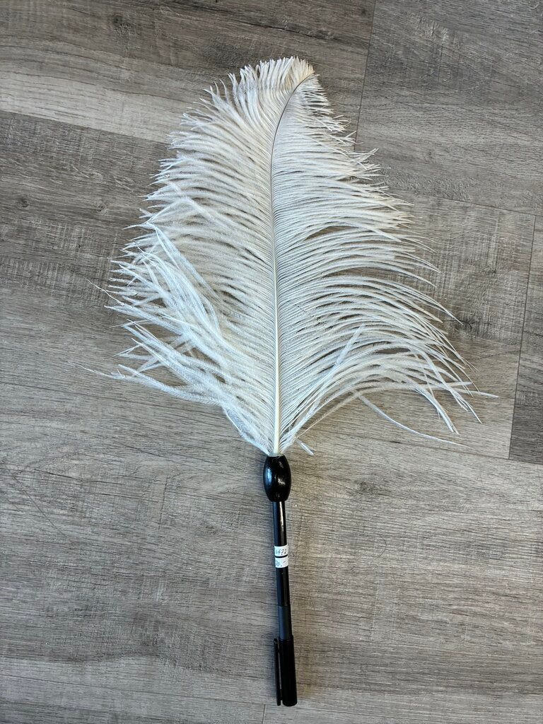 Quinte Feathers Ostrich Feather Pen