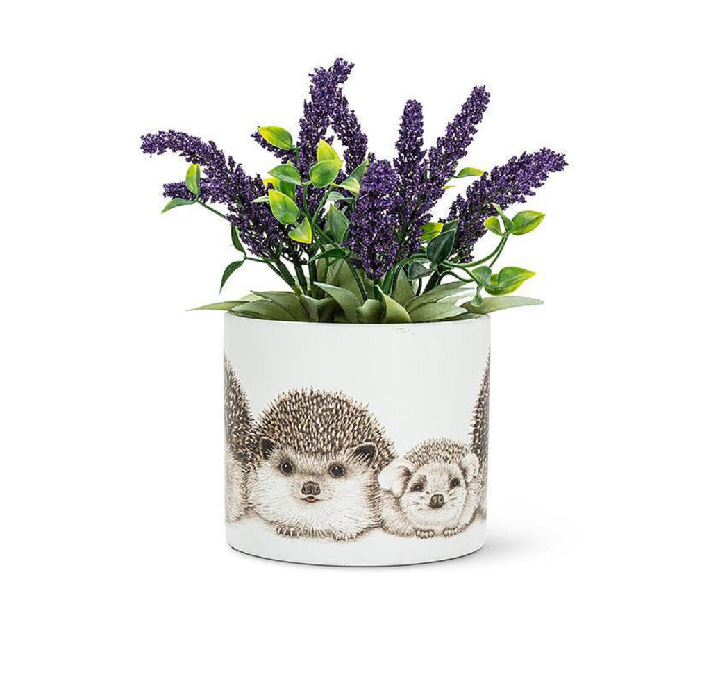 Abbott Hedgehog Planter