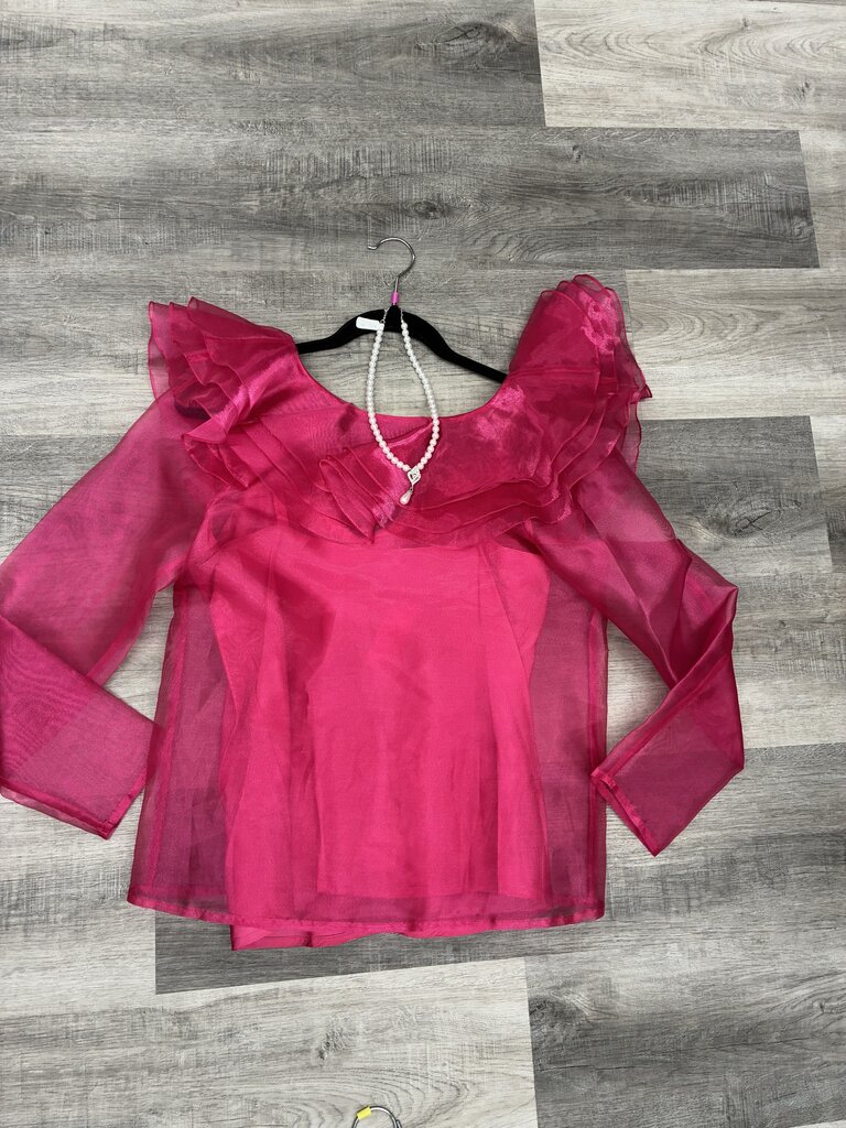 Peter Chin Sheer Top & Tank Size 10