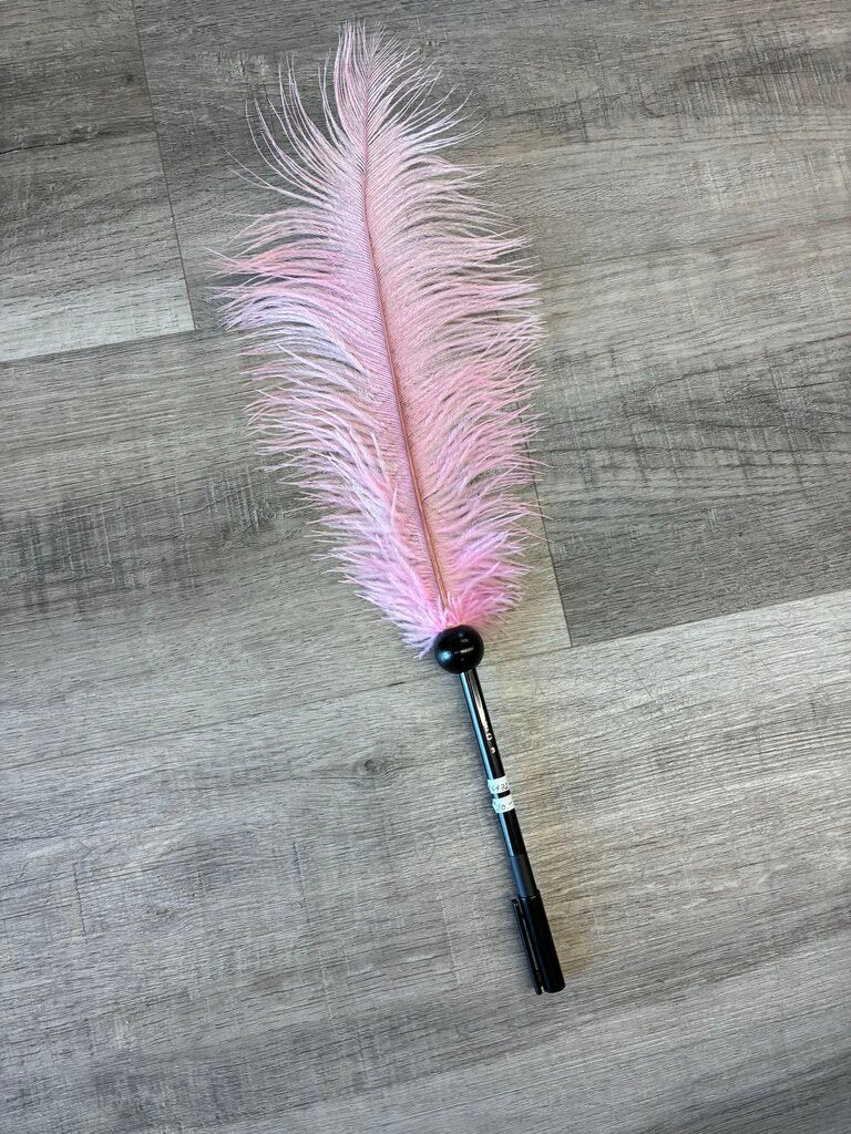 Quinte Feathers Ostrich Feather Pen