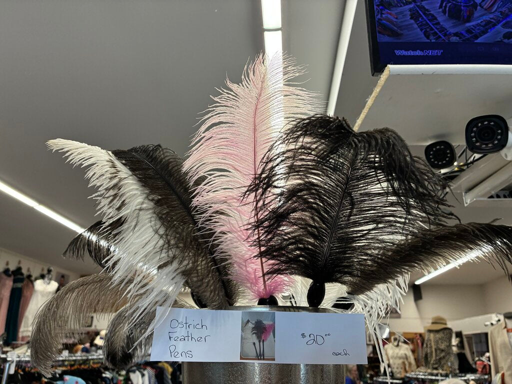 Quinte Feathers Ostrich Feather Pen
